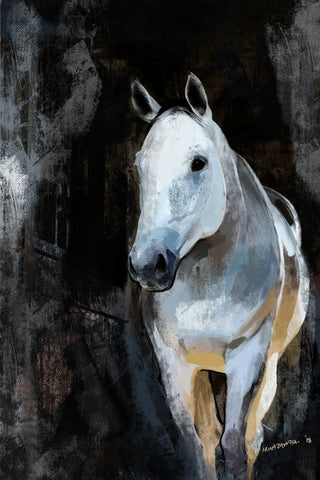 Horse Art print Rustic, Canvas, 014